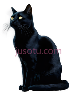 猫,插画,黑色PNG