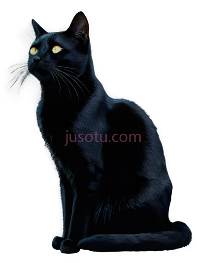 猫,插画,黑色, PNG