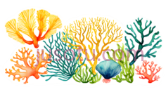 水彩画,珊瑚PNG