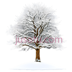 树,雪地PNG