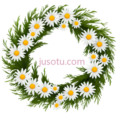 花环,雏菊, PNG