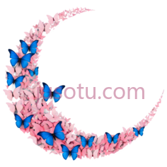 蝴蝶,新月形排列,粉色,蓝色PNG
