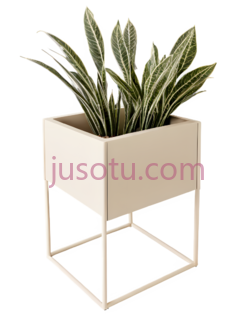 盆栽,现代,米白色PNG