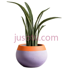 植物,现代,紫色,橙色PNG