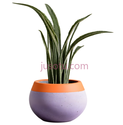 植物,现代,紫色,橙色, PNG