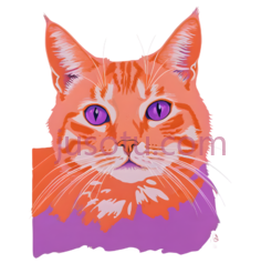 猫,波普,橙色,紫色, PNG