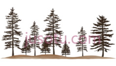 树木,插画,棕色PNG