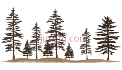 树木,插画,棕色, PNG