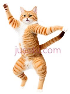 猫,跳舞,橙色,白色PNG