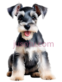 小狗,卡通,黑色,白色,棕色PNG