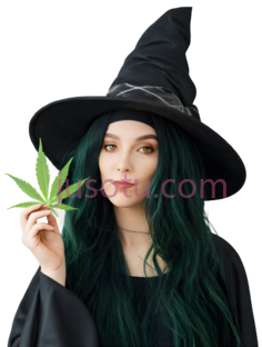 大麻,巫婆PNG
