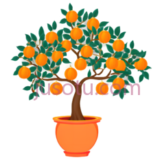 橘子树,卡通,橙色,绿色PNG