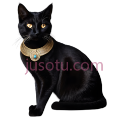 猫,插画,黑色PNG