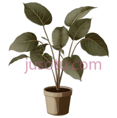 盆栽,插画,绿色PNG