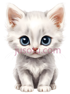 小猫,毛发,大眼睛PNG