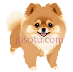 博美犬,卡通,棕色,白色PNG