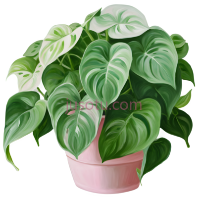 绿萝植物, PNG