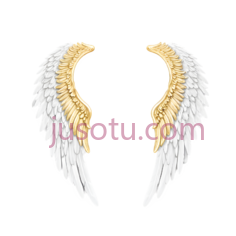 翅膀,白色,金色PNG