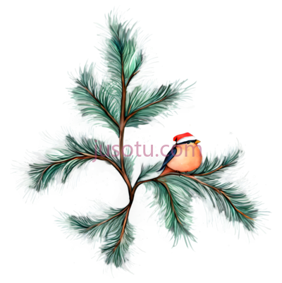 雪松树枝,插画,绿色, PNG