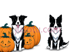 南瓜,牧羊犬PNG