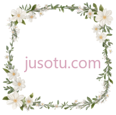 花朵,装饰性边框,白色,绿色PNG