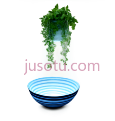 植物,自然生长,绿色PNG