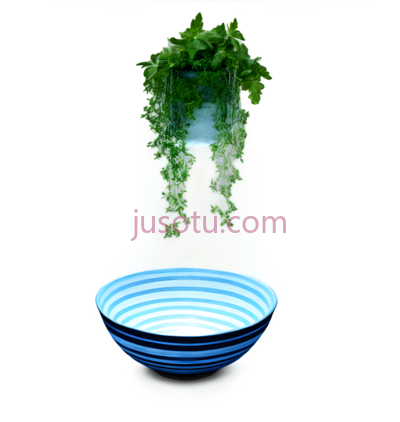 植物,自然生长,绿色, PNG