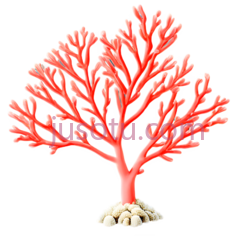 植物,珊瑚PNG
