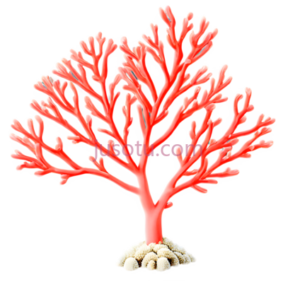 植物,珊瑚, PNG