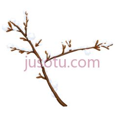 梅花枝,白色PNG