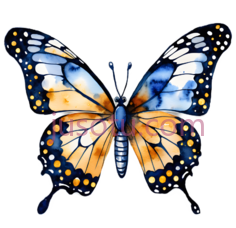 蝴蝶,水彩画,蓝色,黄色,白色PNG