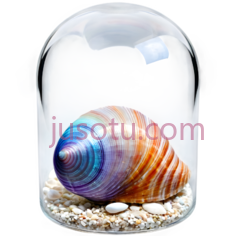 彩色贝壳,玻璃盒,彩虹色PNG