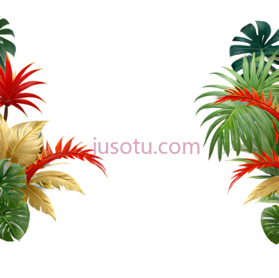 热带,丛林, PNG