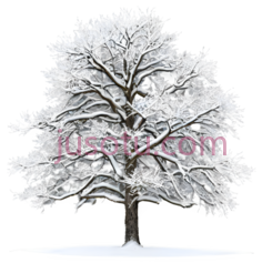 树,雪覆盖,白色PNG