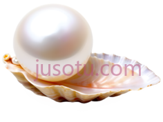 贝壳,珍珠,珠宝PNG