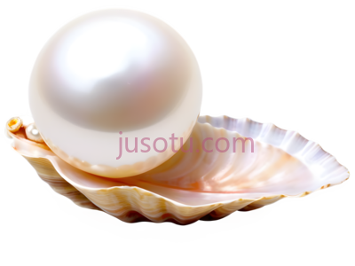 贝壳,珍珠,珠宝, PNG