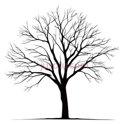 单棵树, PNG