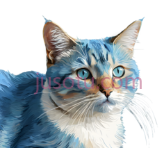 猫, PNG