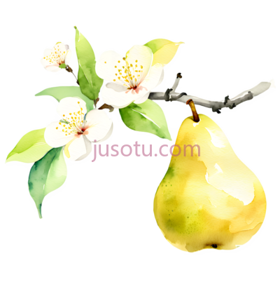 梨,水彩画,黄色, PNG