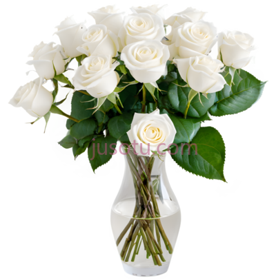 花,经典,白色, PNG