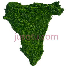 植物,自然生长,绿色PNG