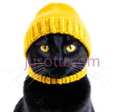 猫,戴黄色针织帽,黑色PNG