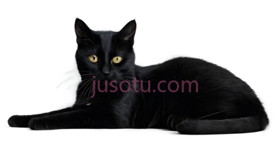 猫,趴着,黑色, PNG