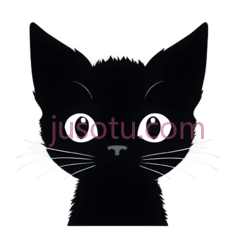 小猫,眼睛,鼻尖PNG