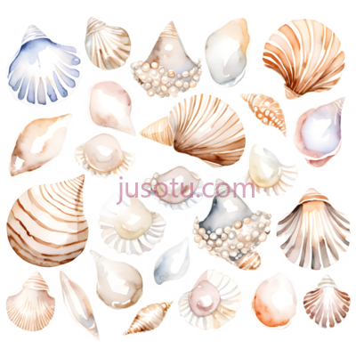 珍珠贝, PNG