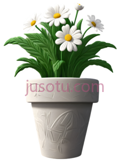 花盆, PNG