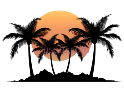 棕榈树,剪影,黑色, PNG