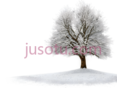 树,雪地PNG