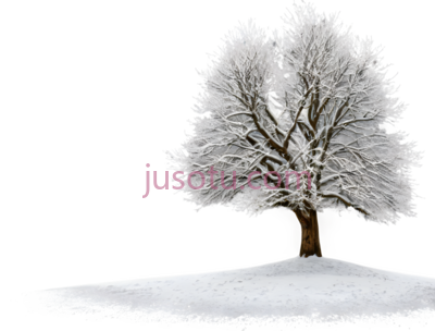 树,雪地, PNG