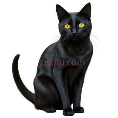黑猫,卡通,黑色, PNG